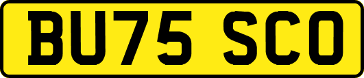 BU75SCO