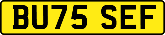BU75SEF
