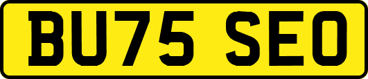 BU75SEO