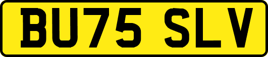 BU75SLV