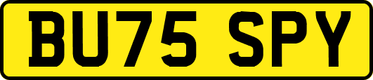BU75SPY