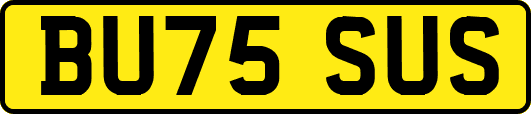 BU75SUS