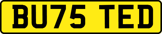 BU75TED