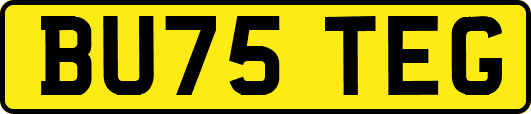 BU75TEG