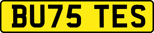 BU75TES