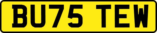 BU75TEW