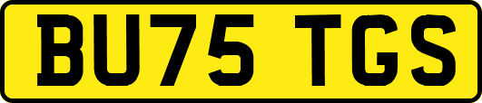 BU75TGS