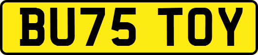 BU75TOY