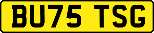 BU75TSG