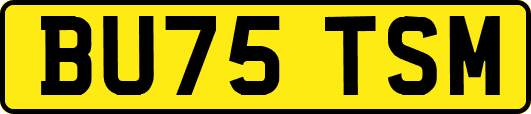 BU75TSM