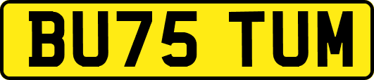 BU75TUM