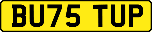 BU75TUP