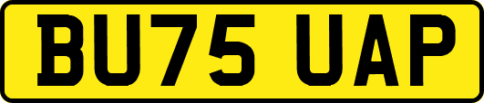 BU75UAP