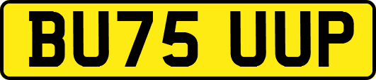 BU75UUP