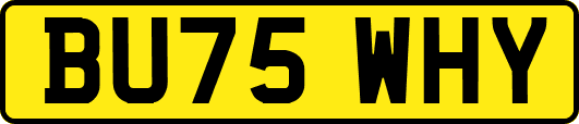 BU75WHY