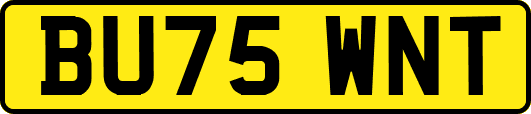 BU75WNT