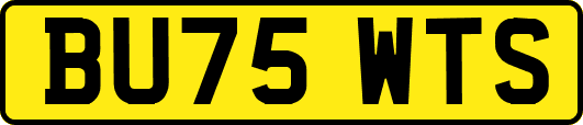 BU75WTS
