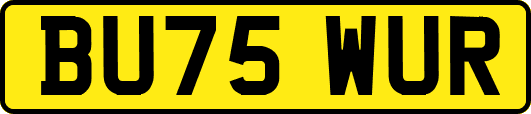 BU75WUR