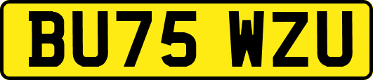 BU75WZU