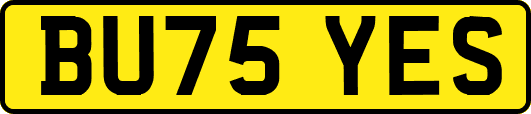 BU75YES