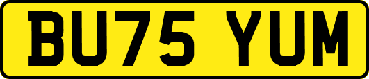 BU75YUM
