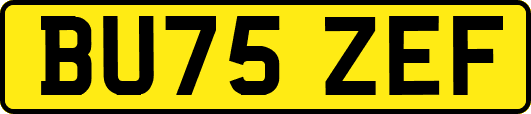 BU75ZEF