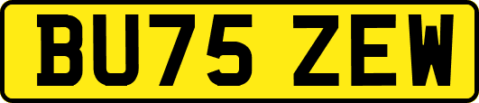BU75ZEW