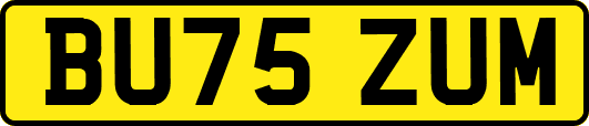 BU75ZUM