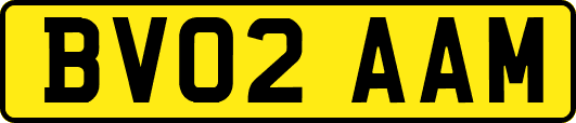 BV02AAM