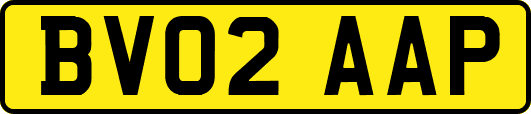 BV02AAP
