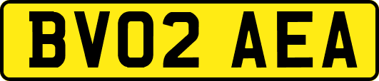 BV02AEA