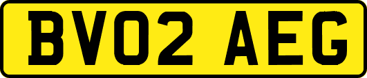 BV02AEG