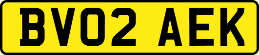 BV02AEK