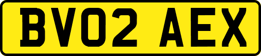 BV02AEX