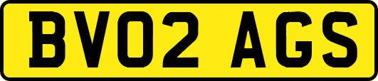 BV02AGS
