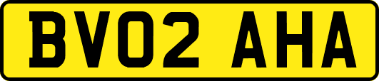 BV02AHA