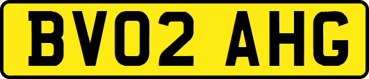 BV02AHG