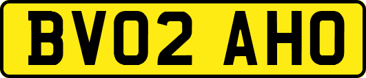 BV02AHO
