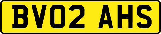 BV02AHS
