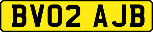 BV02AJB