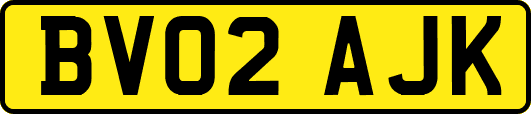 BV02AJK