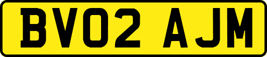 BV02AJM