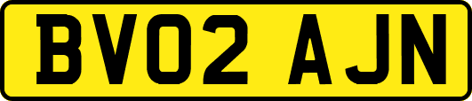 BV02AJN