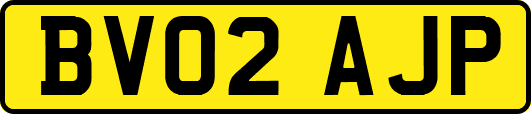 BV02AJP
