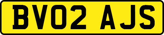 BV02AJS