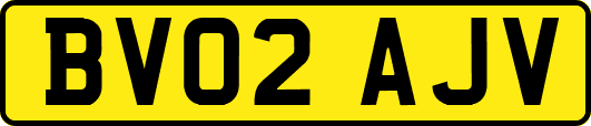 BV02AJV