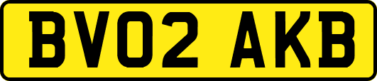 BV02AKB