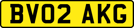 BV02AKG