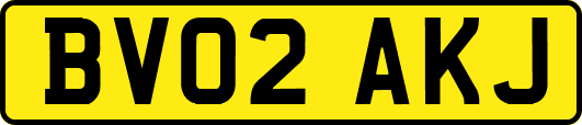 BV02AKJ