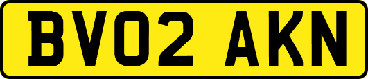 BV02AKN